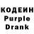 Кодеиновый сироп Lean Purple Drank Sophi K