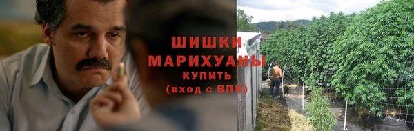 хмурый Бородино