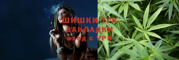 хмурый Бородино