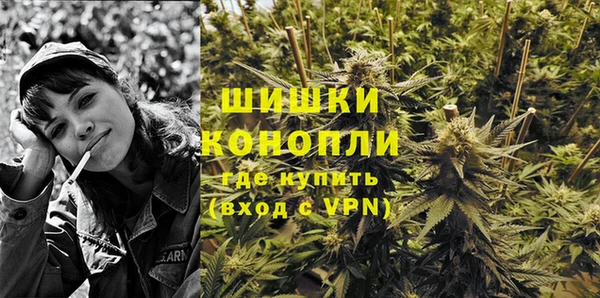 хмурый Богородск