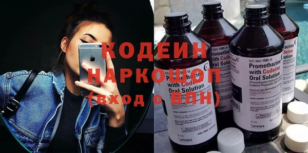 хмурый Бородино
