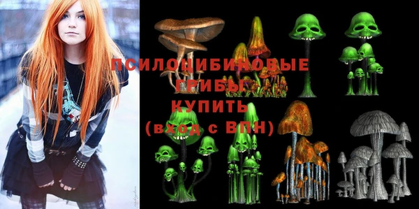 хмурый Богородск