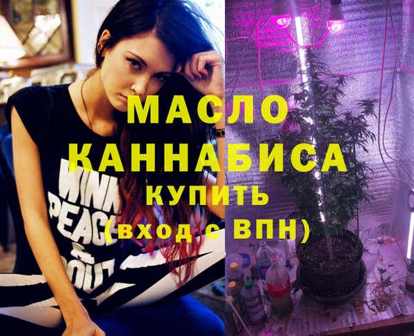 хмурый Бородино