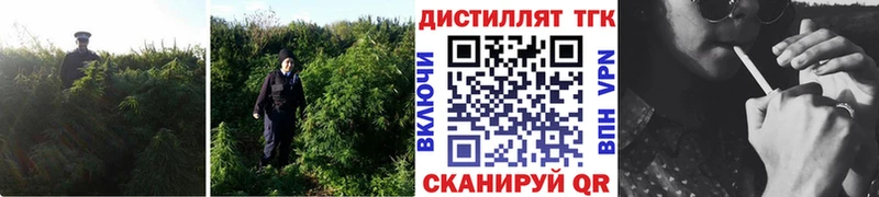 сайты даркнета телеграм  где купить наркотик  Ейск  ТГК вейп с тгк 